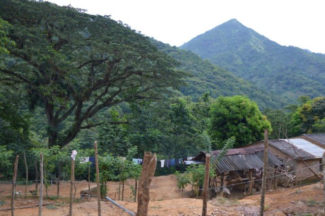 Sierra Maestra