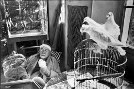 Bresson Matisse