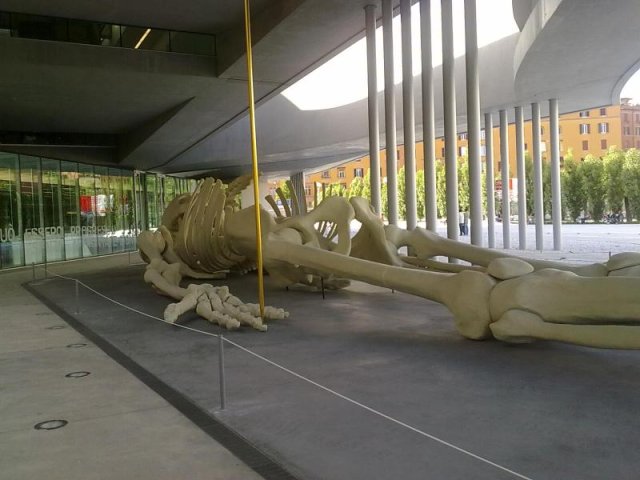 maxxi02