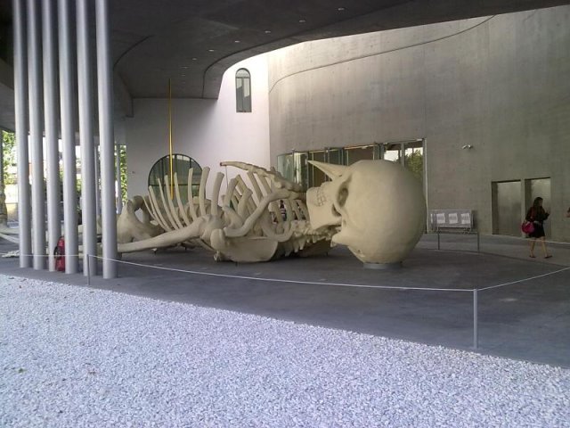maxxi03