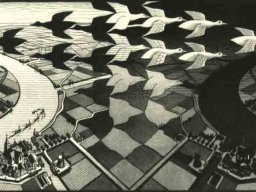 Escher Giorno e notte