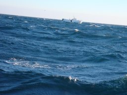 Oceano